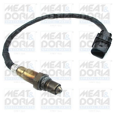Oxygen Sensor
